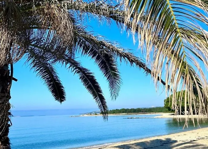 شقة Palm Apartment, بوفليانا